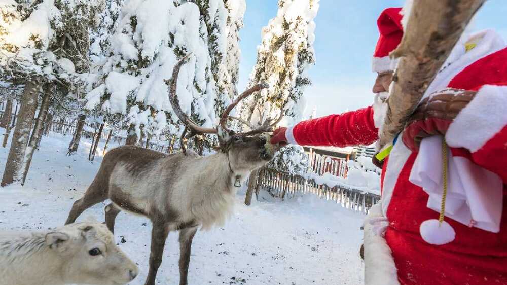 Регионалният природонаучен музей в Пловдив организира коледна работилница за деца