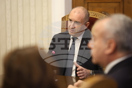 Президент - „Продължаваме промяната  - Демократична България " - консултации