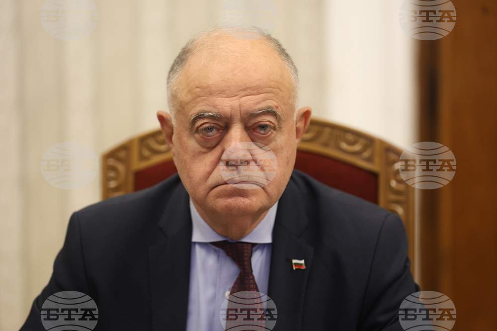 Democrats for Strong Bulgaria Call on President to Focus on Fair, Free Elections When Selecting Caretaker PM