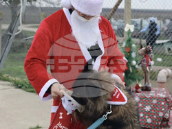 Снимка: Община Варна