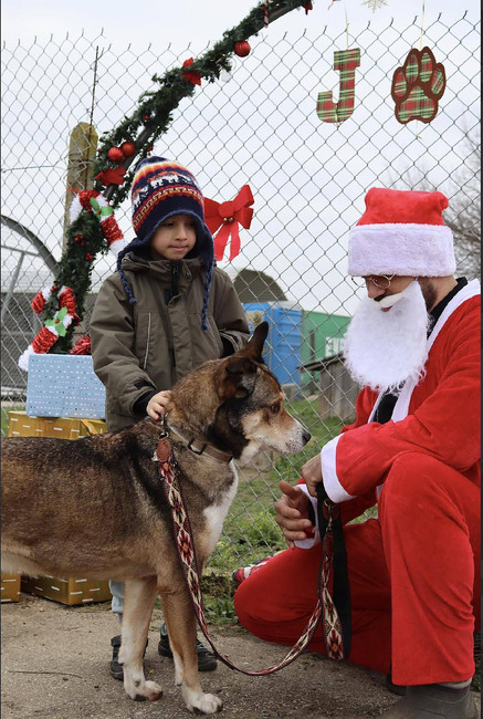 Община Варна: Над 100 любители на животните посетиха четириногите обитатели на приюта за кучета в с. Каменар за кампанията „(НЕ) сам вкъщи 2“
