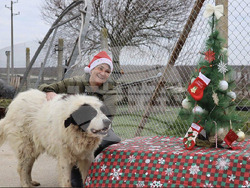 Снимка: Община Варна