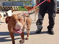 Снимка: Община Варна