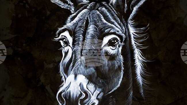 Цветан Узунов – TSE ще представи изложбата „Живот“ в Природонаучния музей в Пловдив 