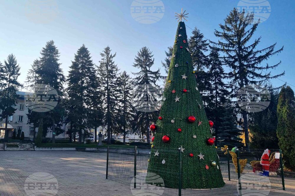 Омуртаг - коледна украса - градска елха