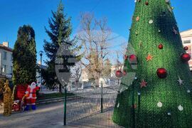 Омуртаг - коледна украса - градска елха