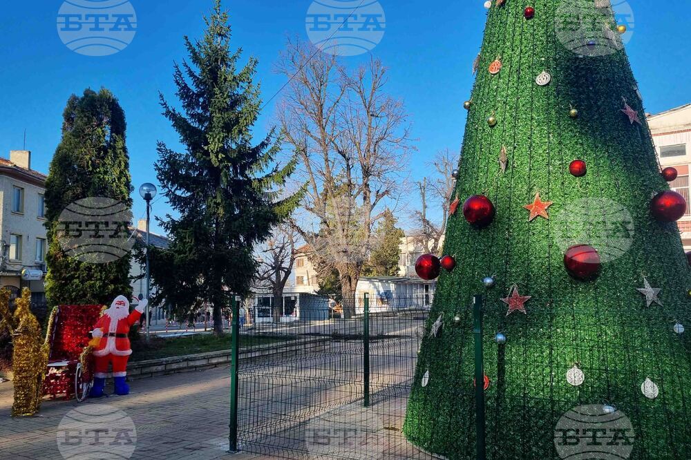 Омуртаг - коледна украса - градска елха