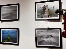 Варна - Стоян Павлов - фотоизложба