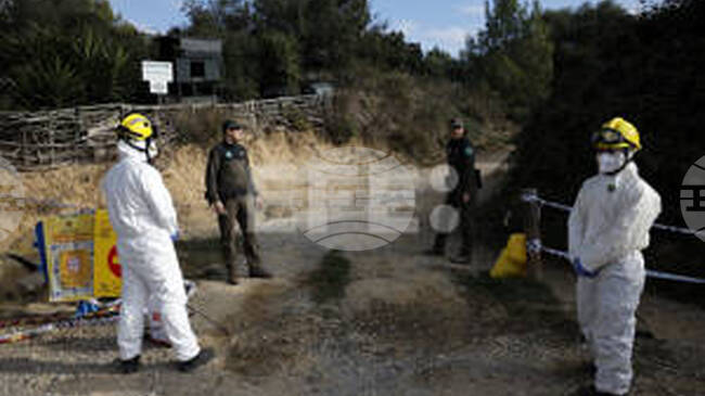 ЕФЕ: Каталунското правителство запазва всички хипотези отворени относно огнището на африканската чума по свинете 