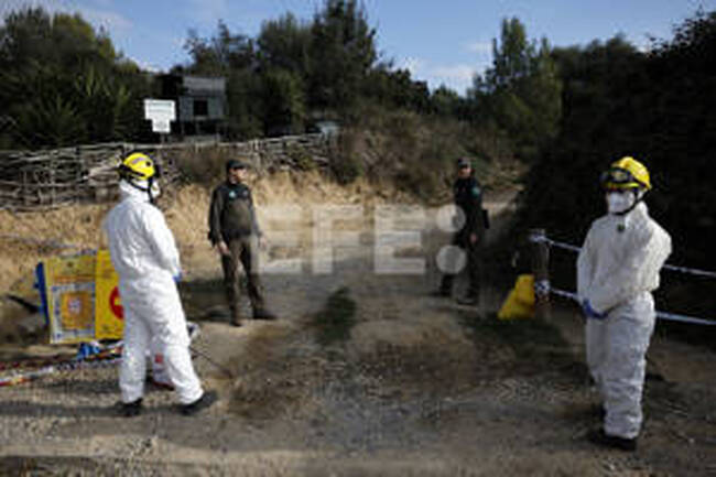 ЕФЕ: Каталунското правителство запазва всички хипотези отворени относно огнището на африканската чума по свинете 