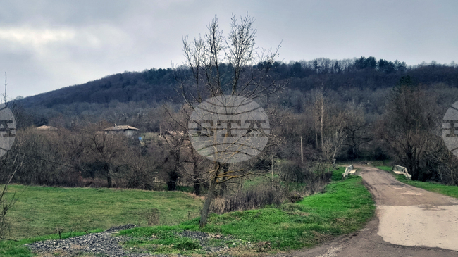 Прогноза за времето