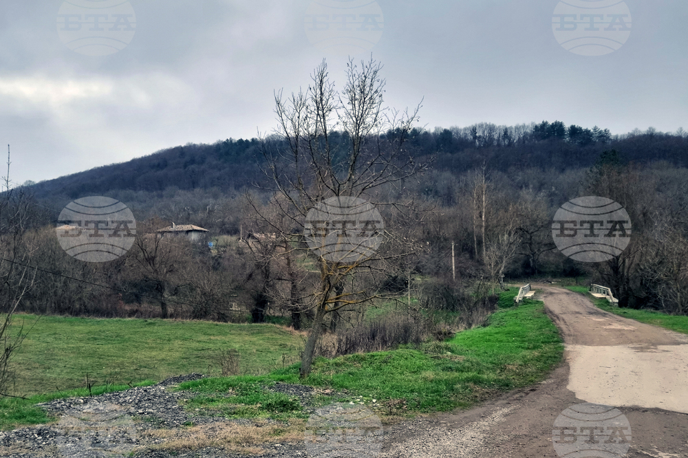 Прогноза за времето