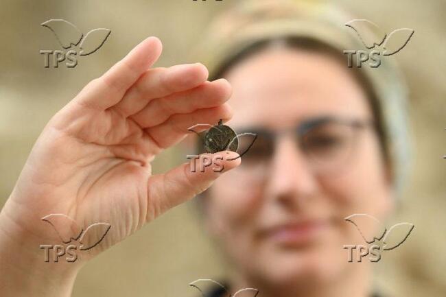 ТПС: Древен медальон с менора оспорва представите за еврейския живот във византийски Йерусалим