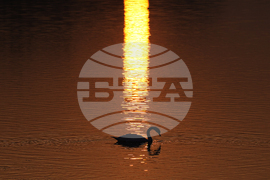 APTOPIX Serbia Daily Life