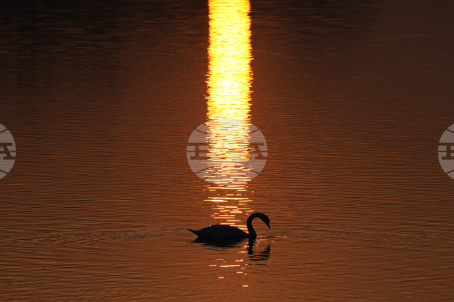 APTOPIX Serbia Daily Life