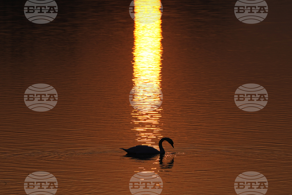 APTOPIX Serbia Daily Life