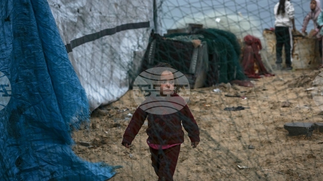 Двама палестинци в Газа са били убити при израелски обстрел