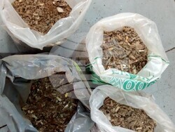 Снимка: Агенция „Митници“