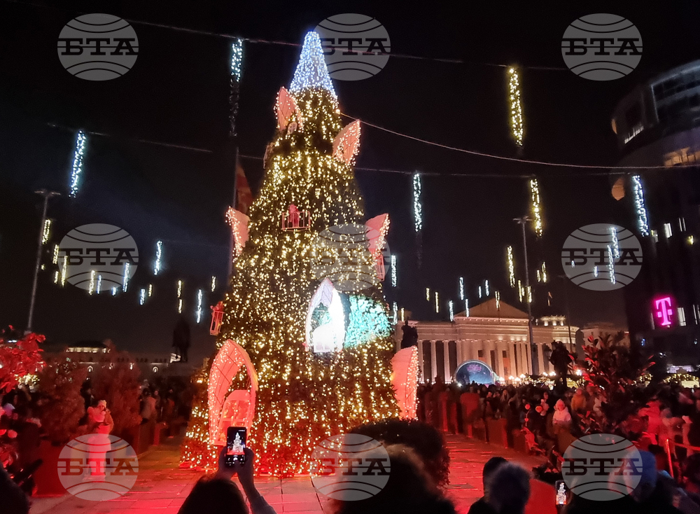 Северна Македония - Скопие - елха - празнични светлини