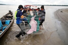 YE LatAm 2025 Photo Gallery