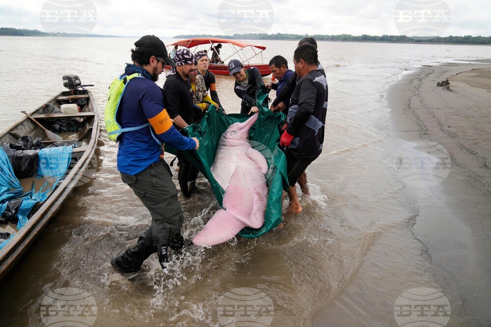 YE LatAm 2025 Photo Gallery