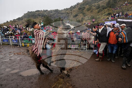 YE LatAm 2025 Photo Gallery