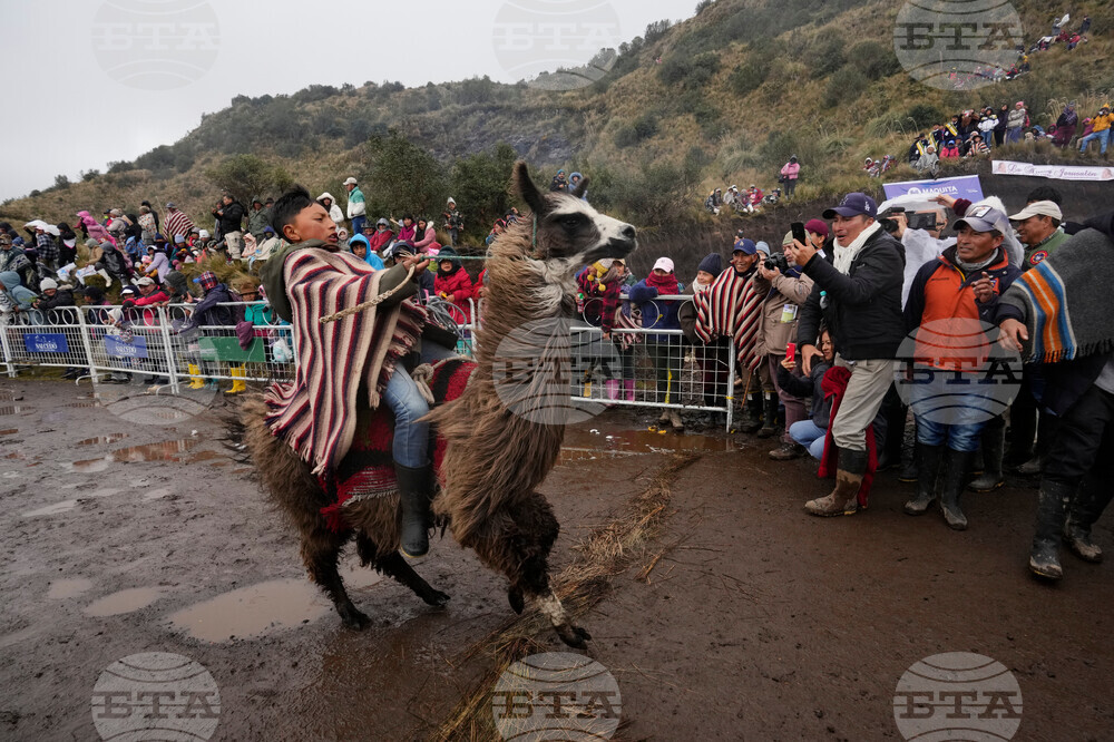 YE LatAm 2025 Photo Gallery