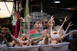 YE LatAm 2025 Photo Gallery