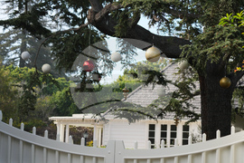 Rob Reiner Investigation