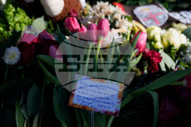 Brown University Shooting