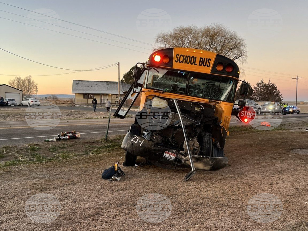 School Buses Crash