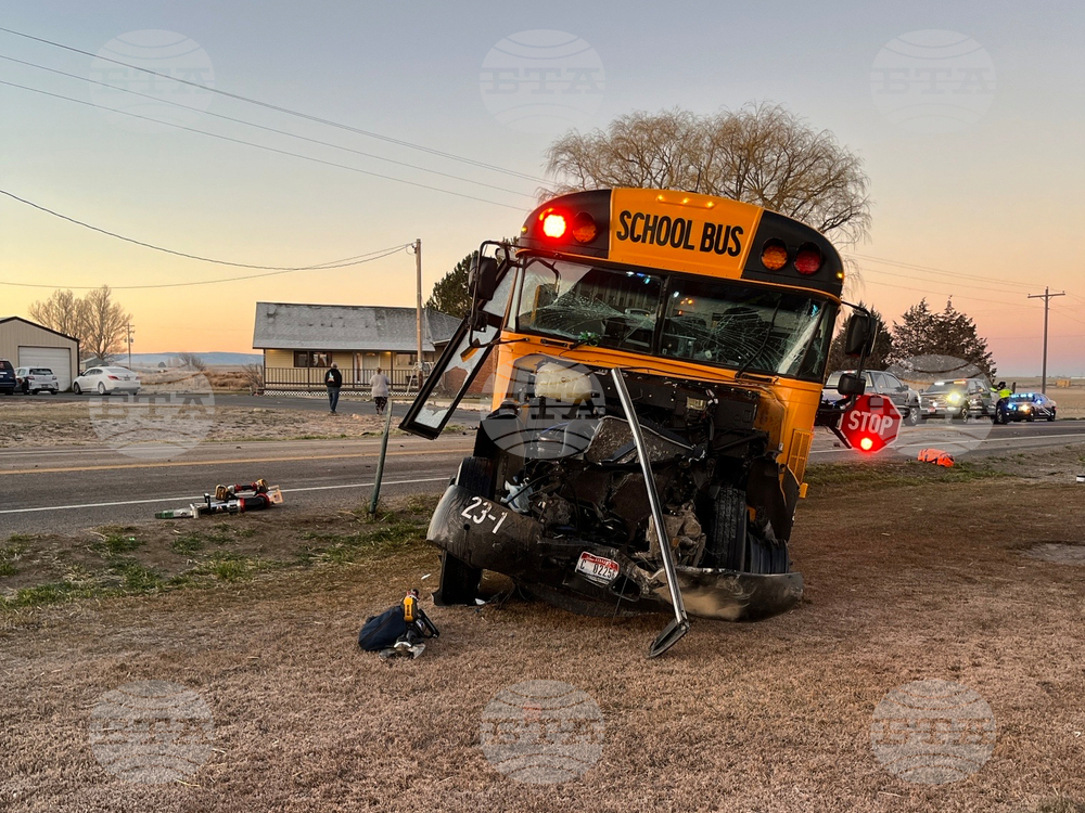 School Buses Crash