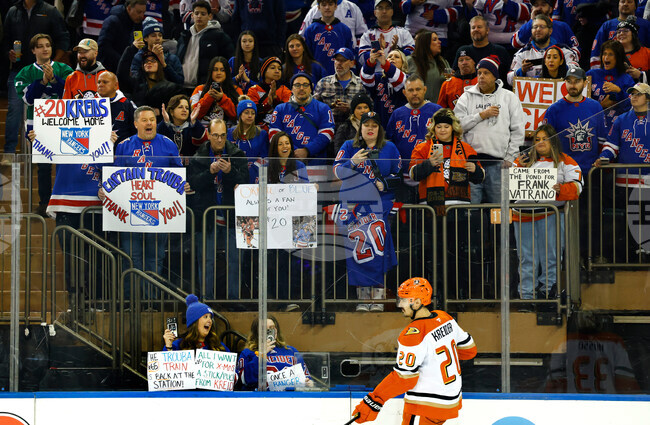 Ducks Rangers Hockey