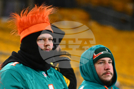Dolphins Steelers Football