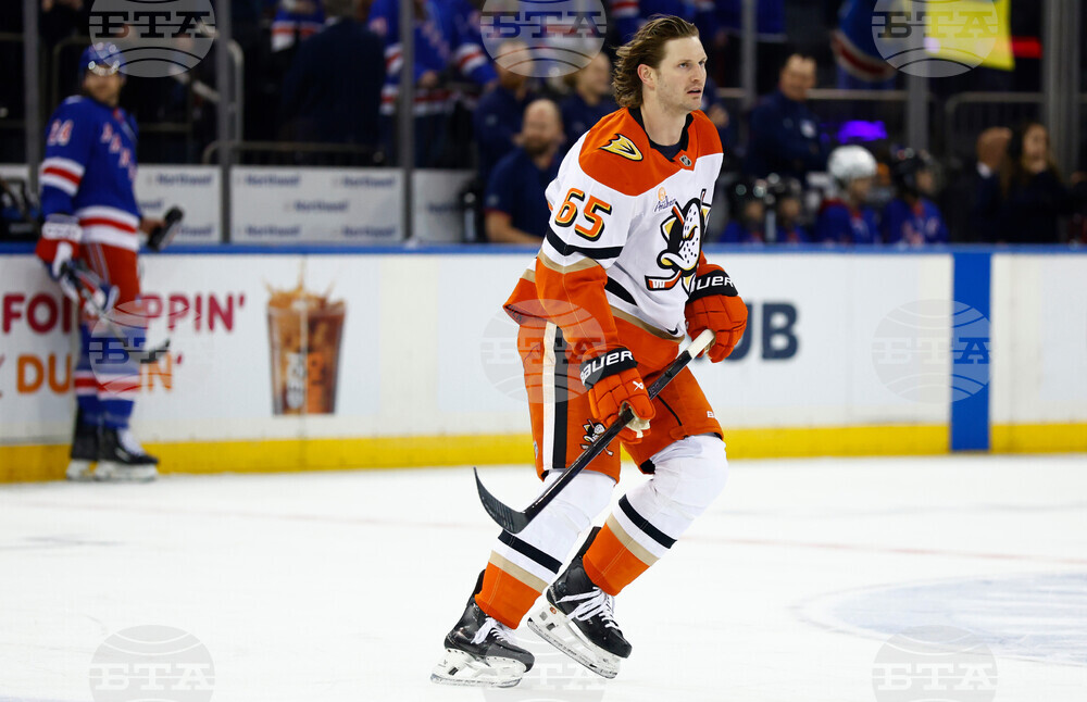 Ducks Rangers Hockey