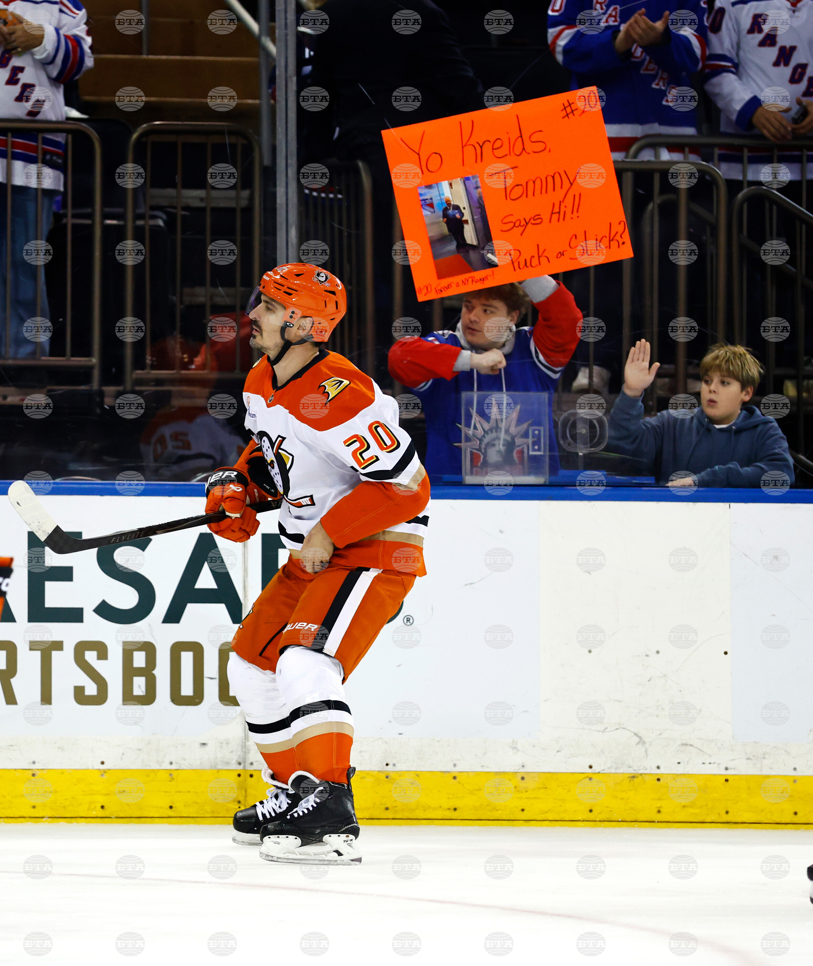 Ducks Rangers Hockey