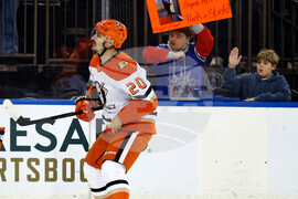Ducks Rangers Hockey