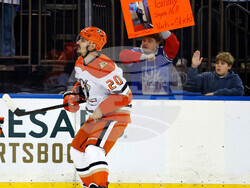 Ducks Rangers Hockey