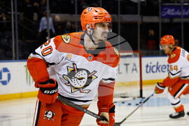 Ducks Rangers Hockey