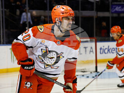 Ducks Rangers Hockey