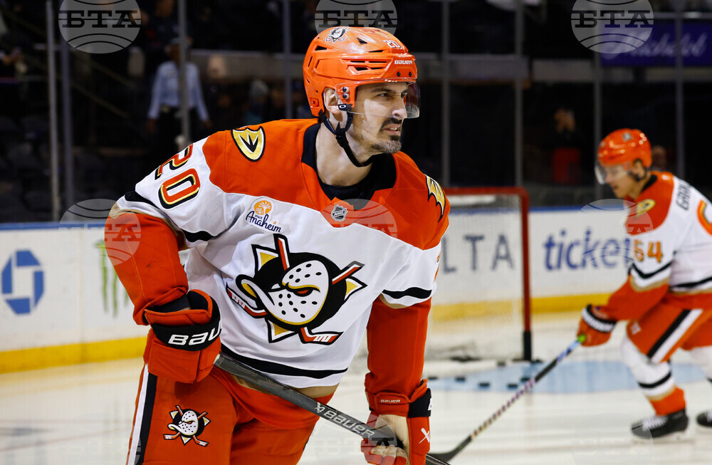 Ducks Rangers Hockey