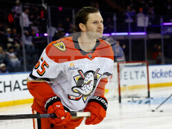 Ducks Rangers Hockey