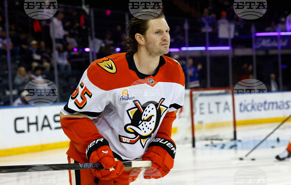 Ducks Rangers Hockey