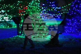 Pennsylvania Daily Life Holiday Lights