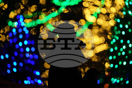 Pennsylvania Daily Life Holiday Lights