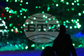 Pennsylvania Daily Life Holiday Lights