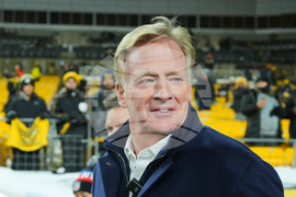 Dolphins Steelers Football