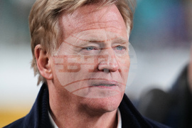 Dolphins Steelers Football