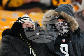 Dolphins Steelers Football