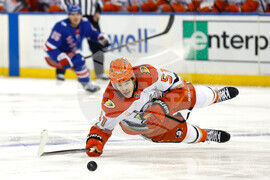 Ducks Rangers Hockey